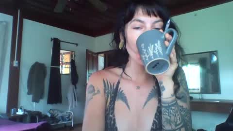 Snapshot of pixiecatfairy chatting on 11.13.25 pixiecatfairy online show from 11.13.25