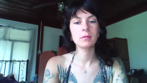 Snapshot of pixiecatfairy chatting on 11.23.25 pixiecatfairy online show from 11.23.25