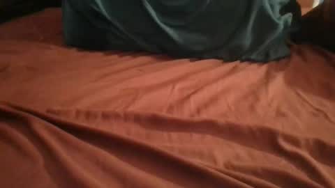 Plague Cockter online show from 02.24.26