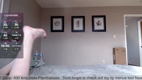 Plantbabeee online show from 12.20.24