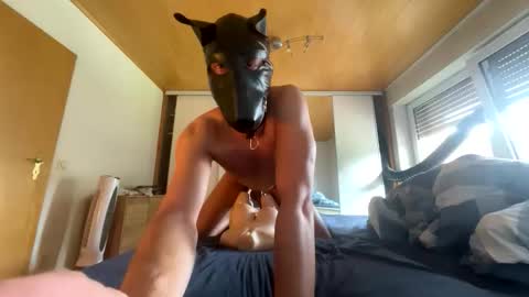 Snapshot of playdog123 chatting on 09.21.25 playdog123 online show from 09.21.25