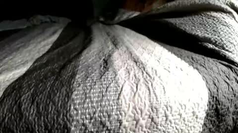 Snapshot of playswithbutt chatting on 02.16.26 playswithbutt online show from 02.16.26