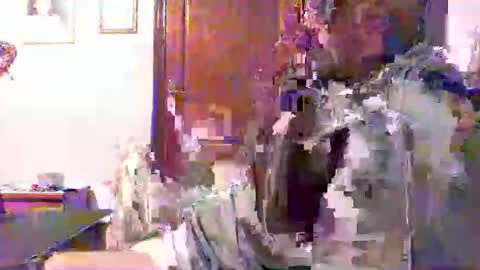 plu07f3520 online show from 04.09.26