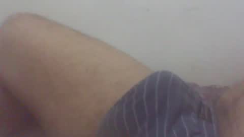 pol2023 online show from 08.01.26
