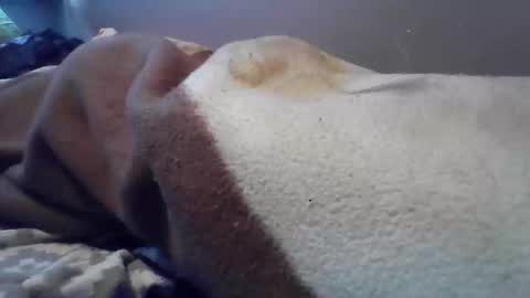 polishbigdick17 online show from 10.29.25