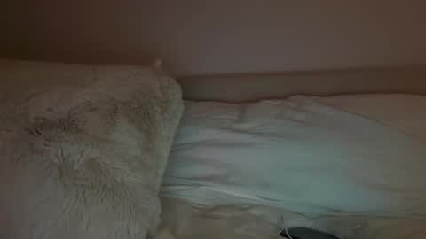 Polly Pocket online show from 03.14.26