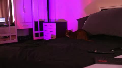 Megan.online  online show from 09.17.25