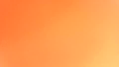 pop297248 online show from 11.20.25