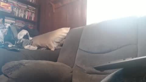 porkingit400 online show from 02.14.25