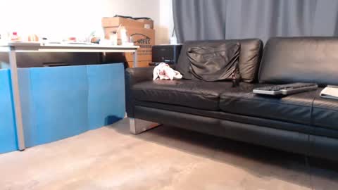 porncock79 online show from 07.23.26