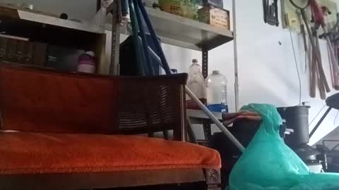 Snapshot of poundgame0710 chatting on 09.14.25 PipeLayerPlayer007 online show from 09.14.25