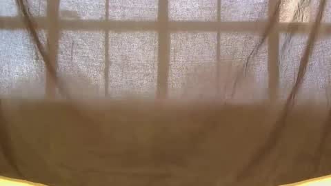 lynn online show from 04.23.26
