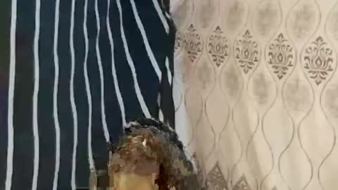 Snapshot of pretty705007 chatting on 03.21.26 pretty705007 online show from 03.21.26