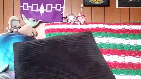 prettysolidd7 online show from 01.04.25