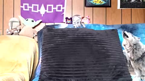 prettysolidd7 online show from 01.05.25