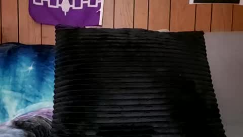 prettysolidd7 online show from 02.24.25