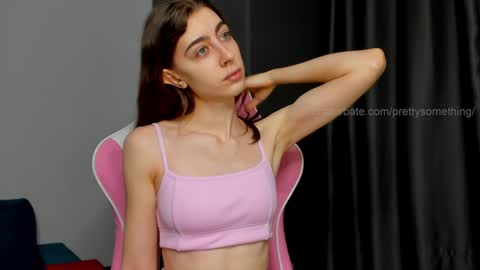 Snapshot of prettysomething chatting on 01.13.25 Sophie next stream will be at Monday i will wait you guys online show from 01.13.25