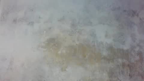 Prince edi online show from 05.25.26