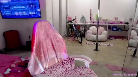 Cece  NEXT LIVESTREAM -- DEC. 4th  7 PM CST online show from 04.01.26