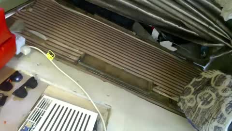  My Love online show from 01.24.25