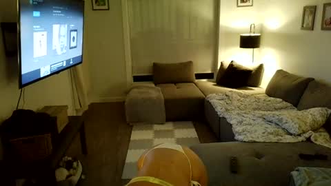 jasminexoxo online show from 07.02.26