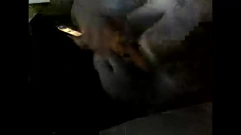 Snapshot of problm666 chatting on 12.02.25 Clothingoptional online show from 12.02.25