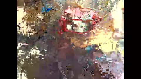 Snapshot of publicexhibto chatting on 11.20.25 publicexhibto online show from 11.20.25