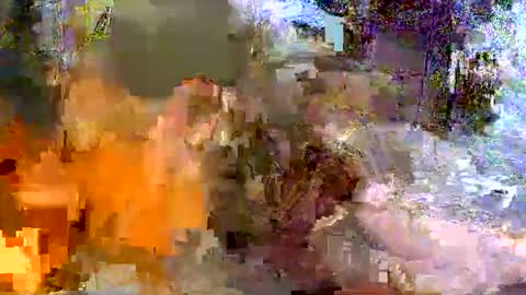 puchainaaaa online show from 06.04.26