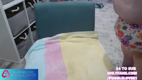 Snapshot of pugglelover chatting on 03.01.25 Puggie - online show from 03.01.25