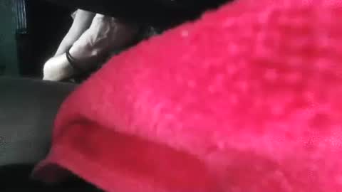 Puppah626  Phoenyx 39s Room online show from 01.01.25