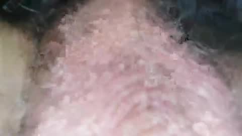 Puppah626  Phoenyx 39s Room online show from 01.01.25
