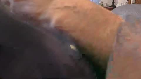 Snapshot of purdyguy7777 chatting on 02.24.26 purdyguy7777 online show from 02.24.26