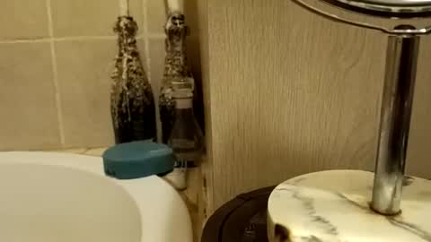 purecharismacpl online show from 02.20.26