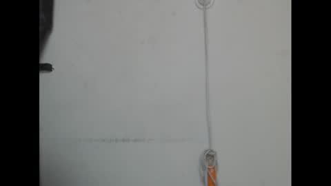 pussyxcockx online show from 03.07.25