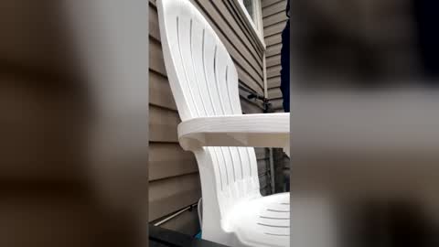 pyrex8 online show from 01.13.26