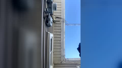 pyrex8 online show from 02.10.26