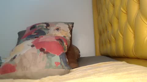 valdonte online show from 11.20.25