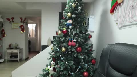  Zafiro  ILL BROADCAST UNTIL DECEMBER  Onlyfans  online show from 11.17.25