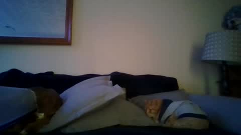 queenbee6269 online show from 02.06.25