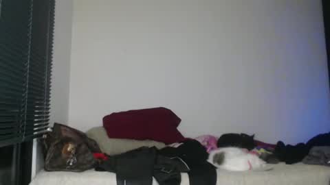 Nico online show from 01.02.25