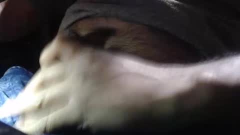 oilypanda online show from 12.16.24