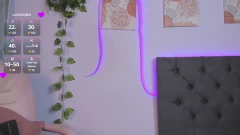    online show from 02.19.26