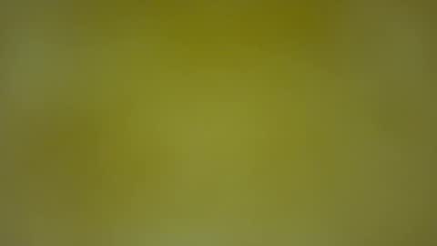 Snapshot of quinnxx chatting on 02.08.26 quinnxx online show from 02.08.26