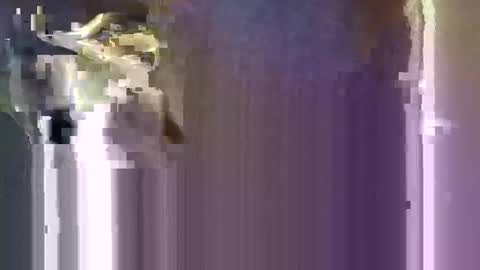 r04233054 online show from 01.10.26