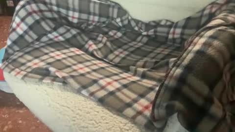 rafa427099 online show from 02.04.26