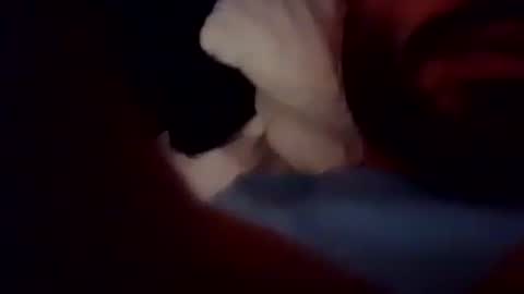 rago1994 online show from 10.05.25