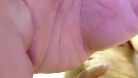 Snapshot of raidehot chatting on 10.21.25 raidehot online show from 10.21.25