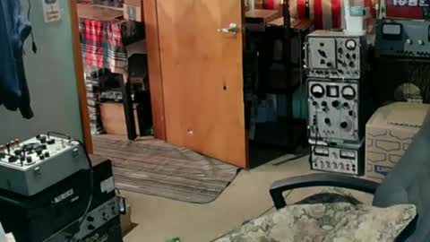 Randall online show from 06.12.26
