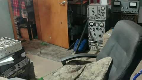 Randall online show from 07.15.26