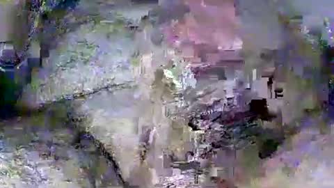 Snapshot of rasit60 chatting on 03.08.26 Rasit Adanali online show from 03.08.26